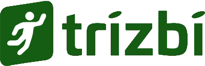 B2B Software, B2B E-Commerce & Dealer Management System | Trizbi